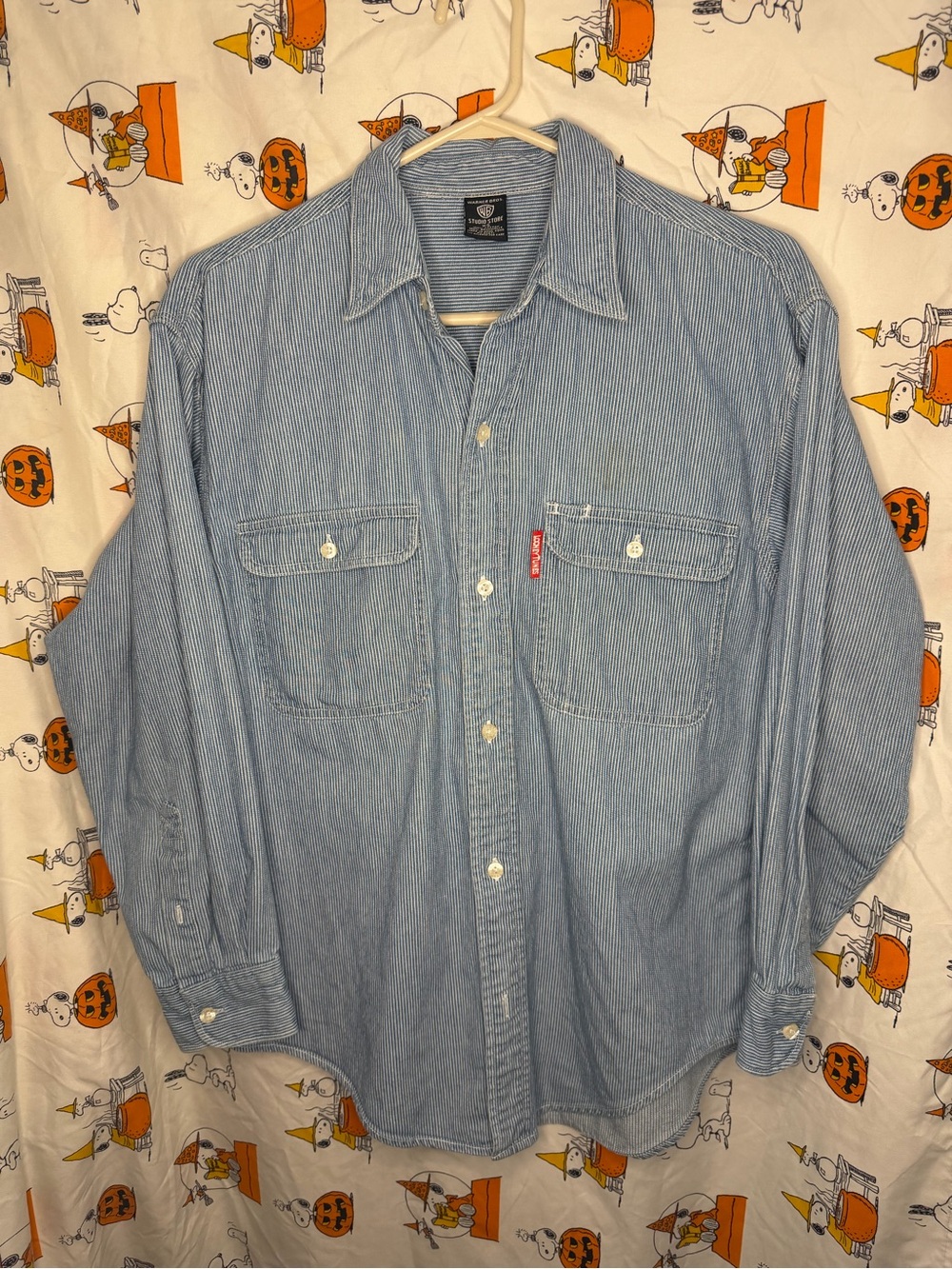 Warner Bros. Light Blue Pinstripe Button-Down Shirt